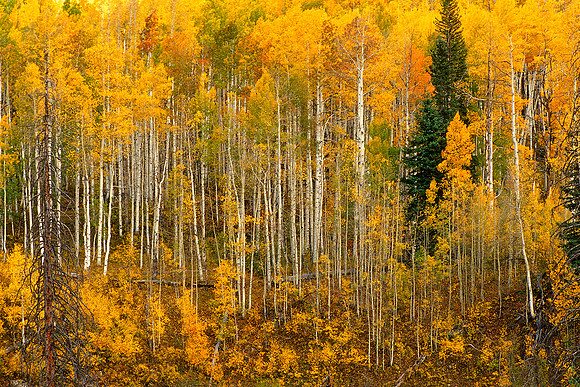 Maroon Bells, White River National Forest, Colorado (2012)
