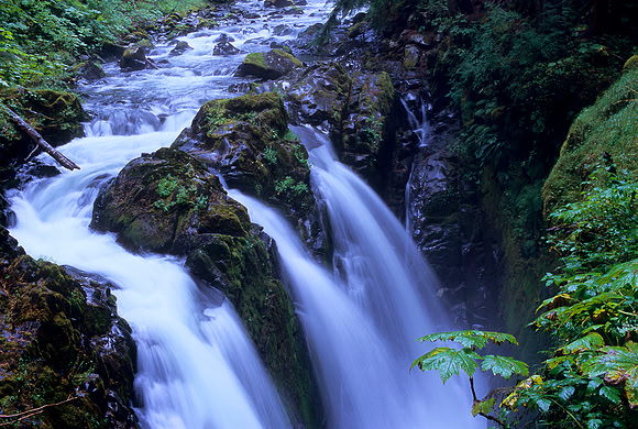 Sol Duc Falls, Olympic National Park, Washington (2011)