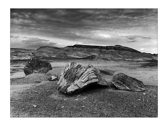 Bisti/De-Na-Zin Wilderness, New Mexico