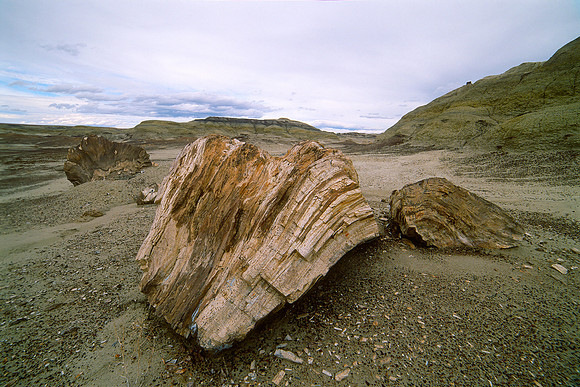 Bisti/De-Na-Zin Wilderness