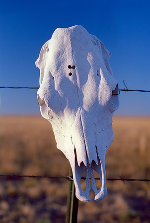 Briggsdale, Colorado