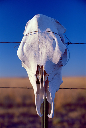 Briggsdale, Colorado