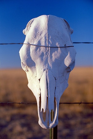 Briggsdale, Colorado