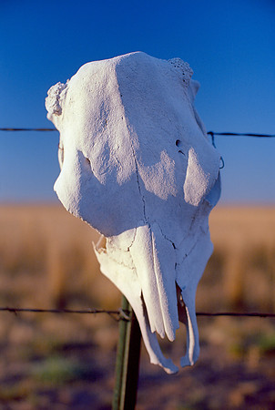 Briggsdale, Colorado