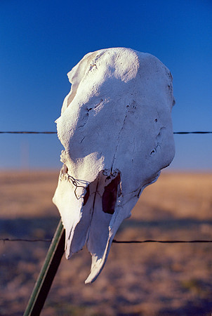 Briggsdale, Colorado