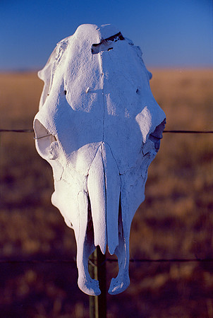 Briggsdale, Colorado