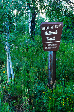 Medicine Bow National Forest, Park Range, Colorado