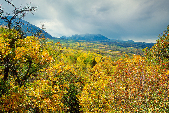 Kebler Pass, Colorado