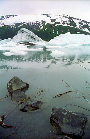 Portage Glacier, Kenai Peninsula, Alaska (1992)
