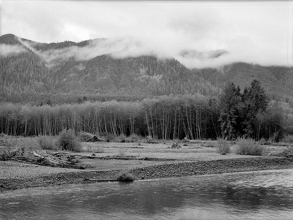 Hoh River, Olympic National Park, Washington