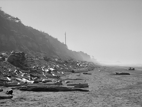 Beach One, Olympic National Park