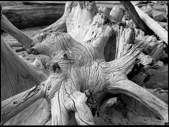 Second Beach, Olympic National Park, Washington