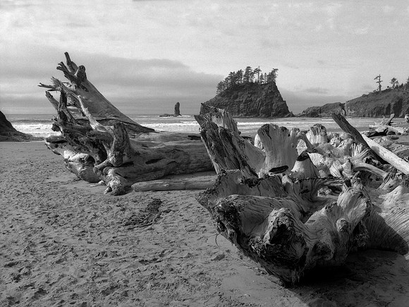 Second Beach, Olympic National Park, Washington