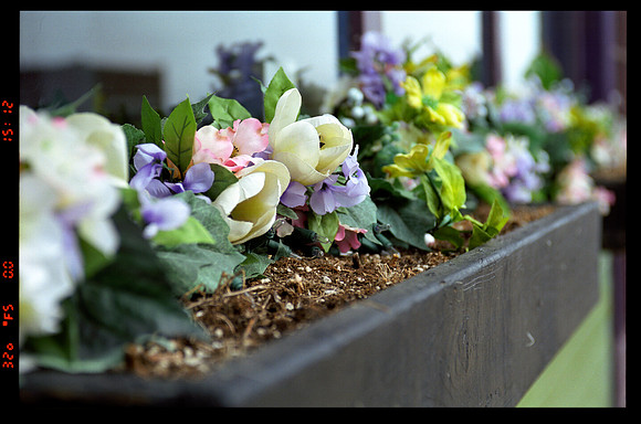 frame 23-fake flowers