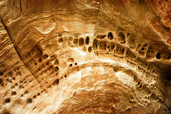 Rock Detail, Dinosaur National Monument
