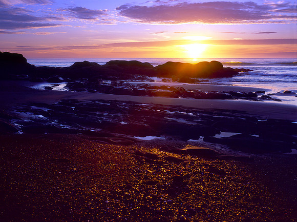 Forth Beach, Olympic National Park, Washington
