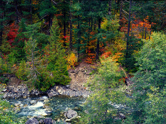 Fall Color along the North Skagit River, North Cascades, Washington