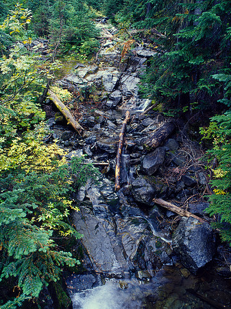Rainy Lake trail, North Cascades National Park, Washington