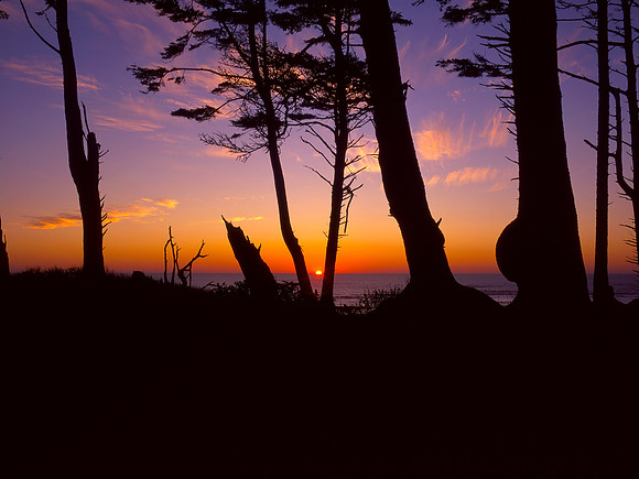 South Beach sunset, Olympic National Park, Washington