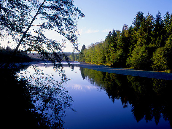 Queets River, Queets Rainforest, Olympic National Park, Washington