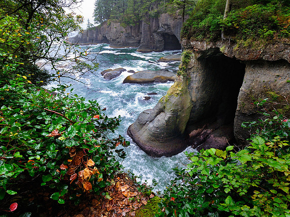 Cape Flattery, Washington
