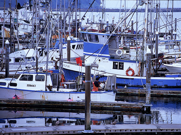 Neah Bay, Washington