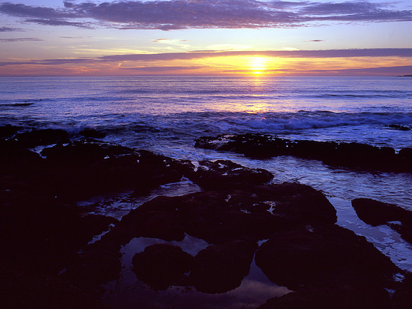 Forth Beach, Olympic National Park, Washington