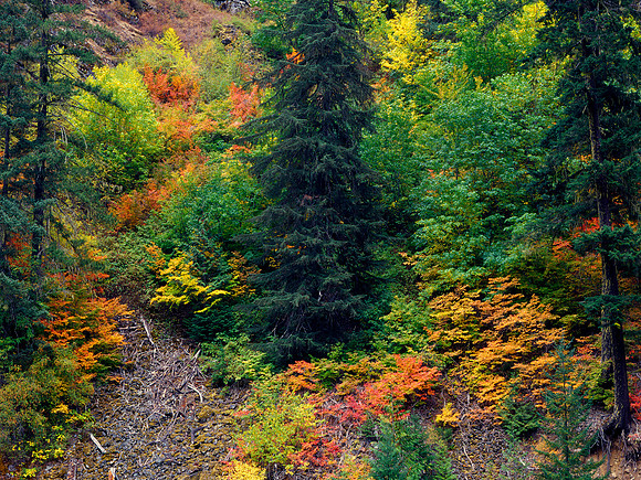 North Cascades National Park, Washington