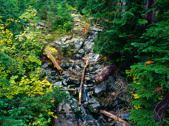 Rainy Lake Trail, North Cascades National Park, Washington