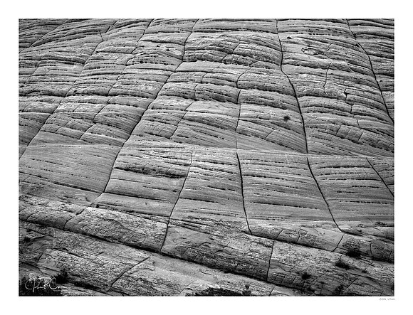 Checkerboard Mesa, Zion National Park