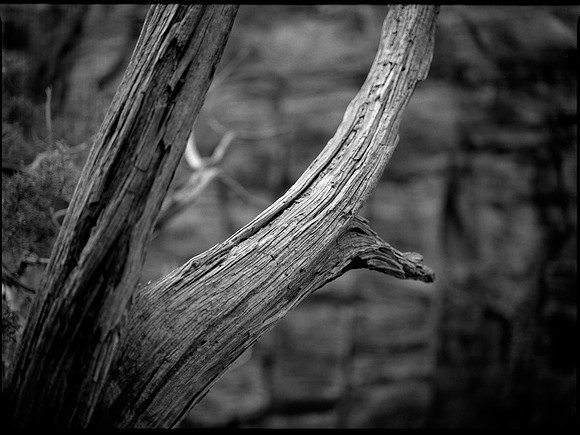 Zion National Park