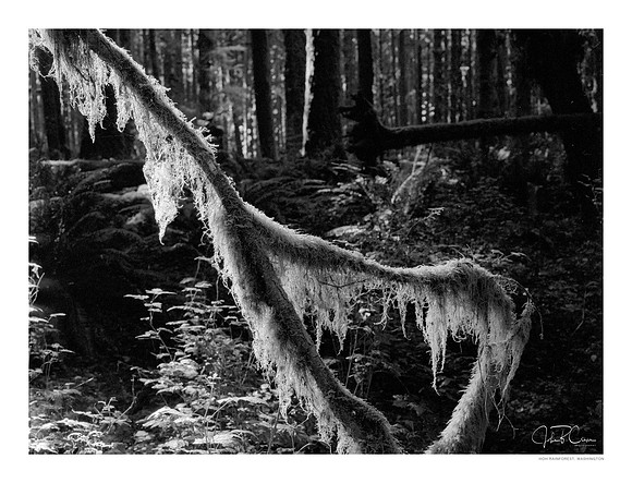 Olympic Peninsula, Washington