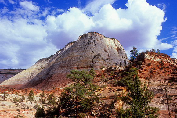 Zion National Park, Utah (2008)