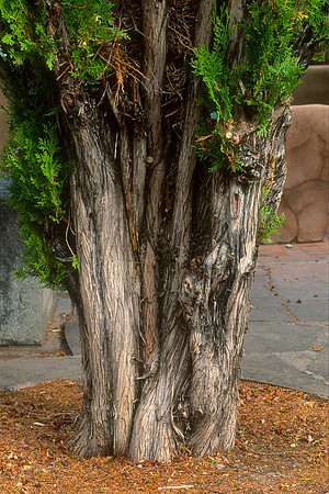 Santuario de Chimayo, Chimayo, New Mexico