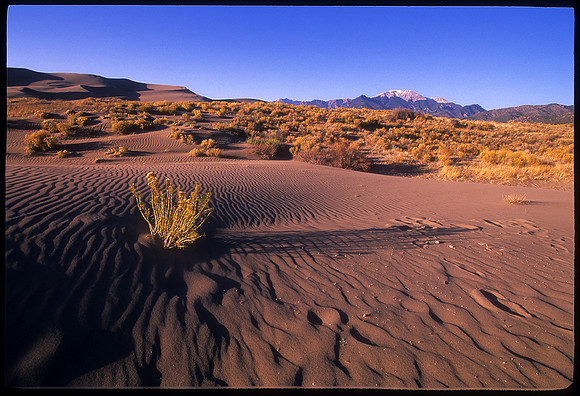 Great Sand Dunes National Park, Colorado (2009)