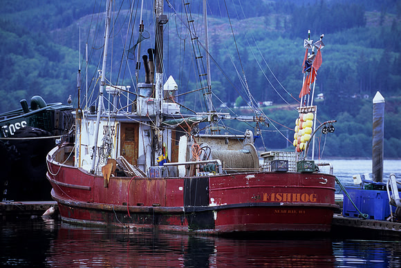 Neah Bay, Washington (2011)