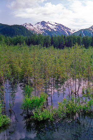 Kenai Peninsula-Alaska