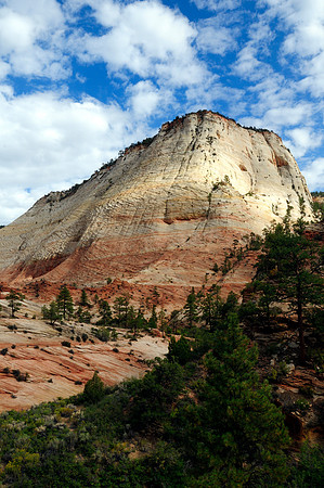 Checkerboard Mesa, Zion National Park