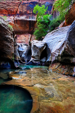 Canyoneers in the Subway, Zion