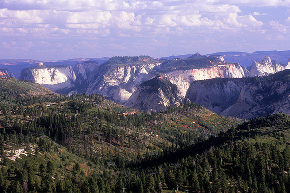 Zion National Park, Utah (2008)