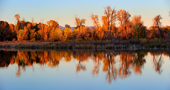 Fall Colors, Loudy Simpson Park