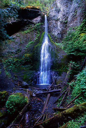 Marymere Falls, Olympic National Park, Washington