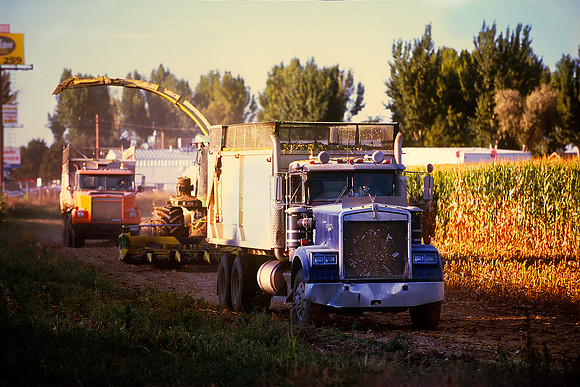 Johnstown, Colorado (2014)