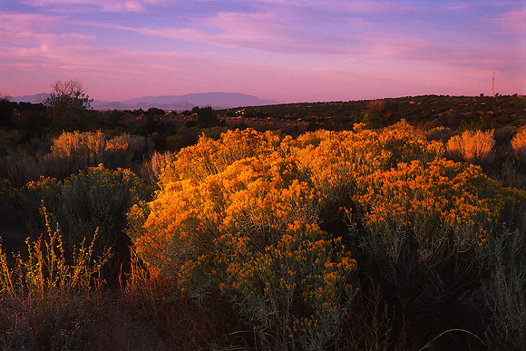 Chamisa Sunrise no.1, Santa Fe, New Mexico (2015)