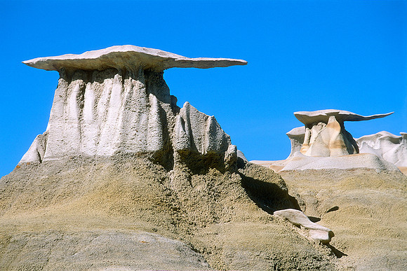 Bisti Wings, Bist/De-Na-Zin Wilderness, New Mexico
