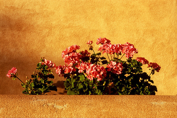 Canyon Road, Santa Fe, New Mexico (2013)