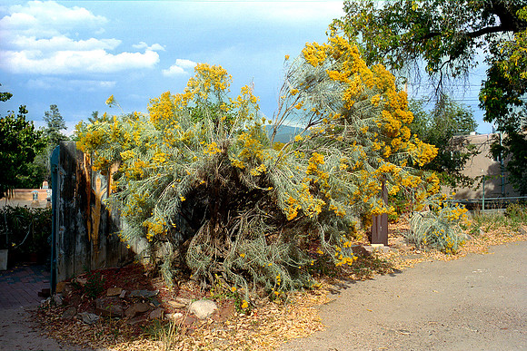 Santa Fe, New Mexico (2015)
