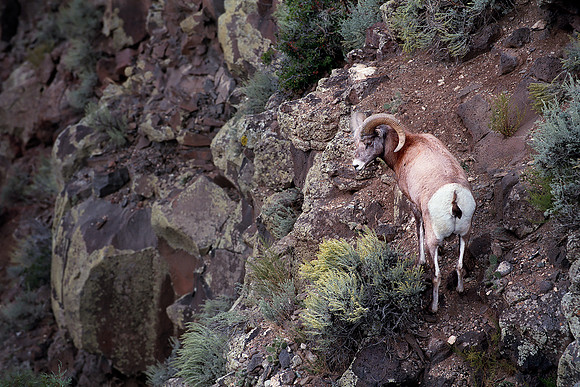 Rio Grande Gorge, Taos County, New Mexico (2014)