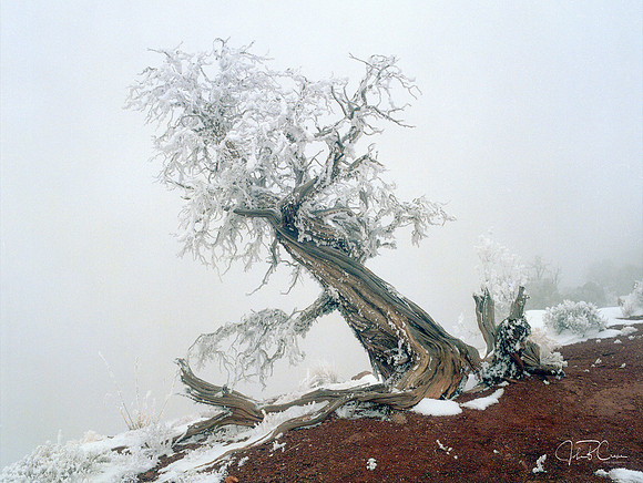 Dead Horse Point State Park, Utah
