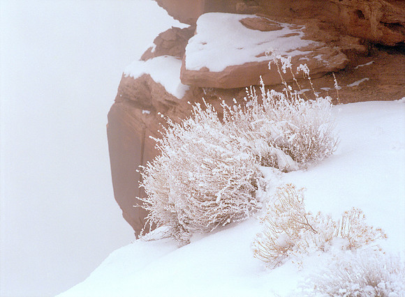 Dead Horse Point State Park, Utah